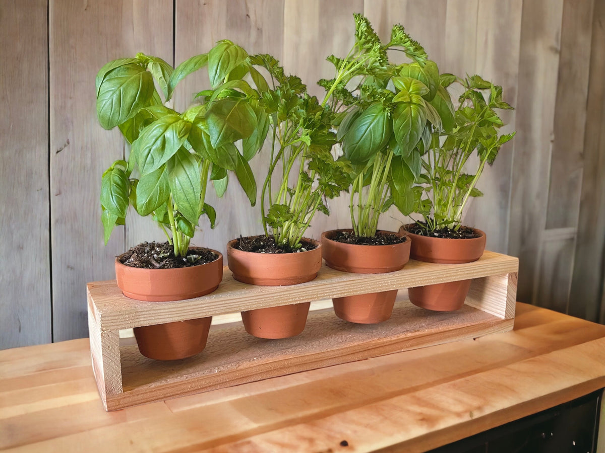 indoor herb planter Herb Garden Planter Set with Wood Holder & 4 Pots, Indoor Outdoor Herb – Blue Sage