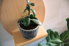 Leaf Wall Décor, Wooden Sconce with Shelf for Plant, Candle Holder