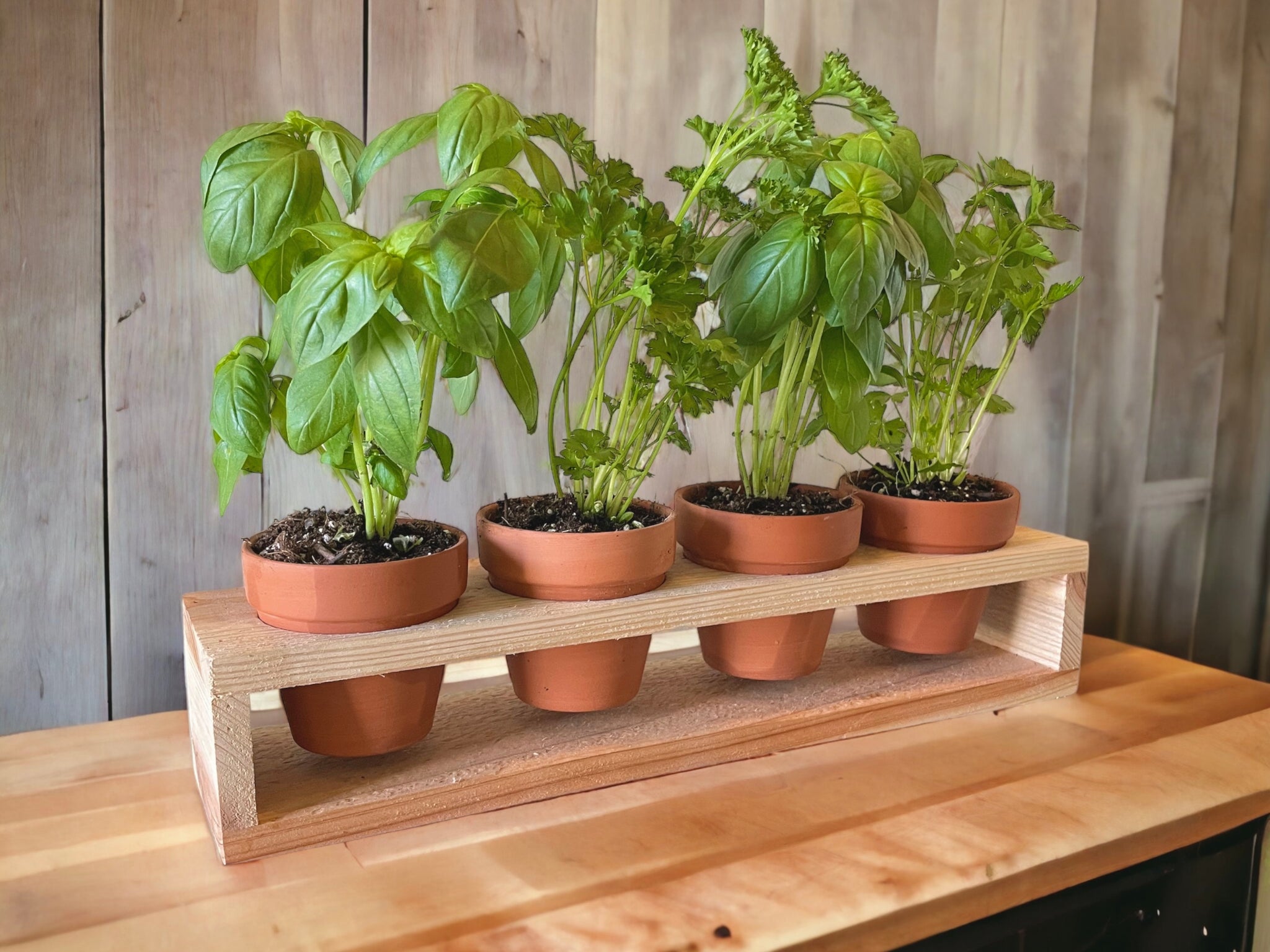 herb plant pots outdoor Herb Garden Planter Set with Wood Holder & 4 Pots, Indoor Outdoor Herb Garden