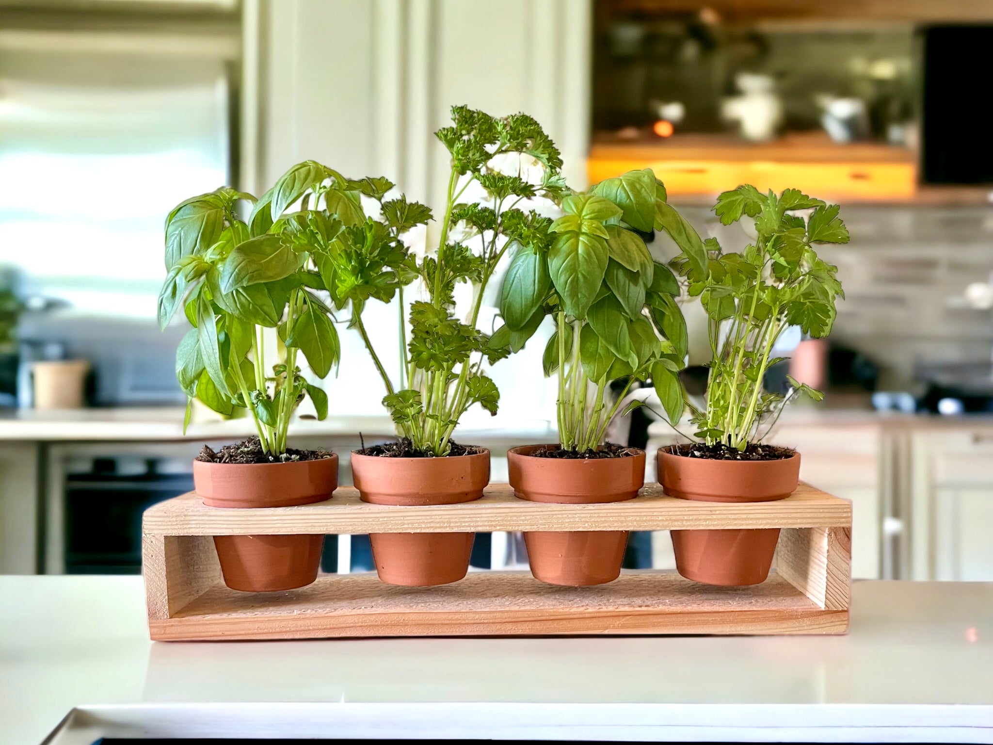 best herb planter indoor Herb Garden Planter Set with Wood Holder & 4 Pots, Indoor Outdoor Herb Garden