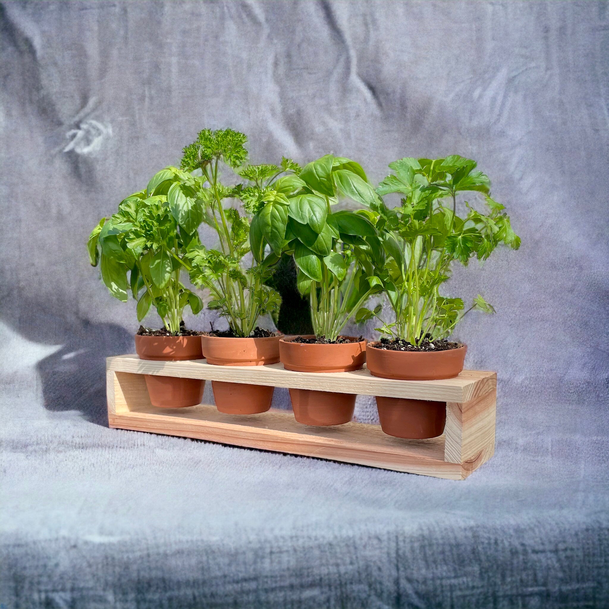 small plant pots for herbs Herb Garden Planter Set with Wood Holder & 4 Pots, Indoor Outdoor Herb Garden