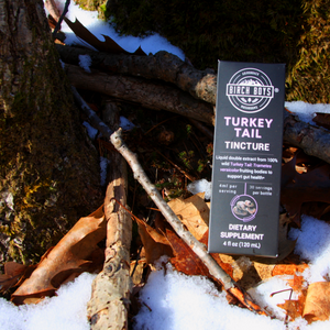 Turkey Tail Tincture Birch Boys - 4oz